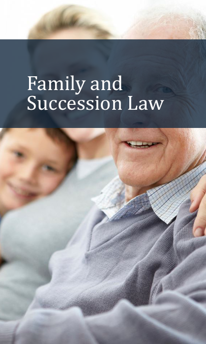 07_familia_e_sucessoes-ingles